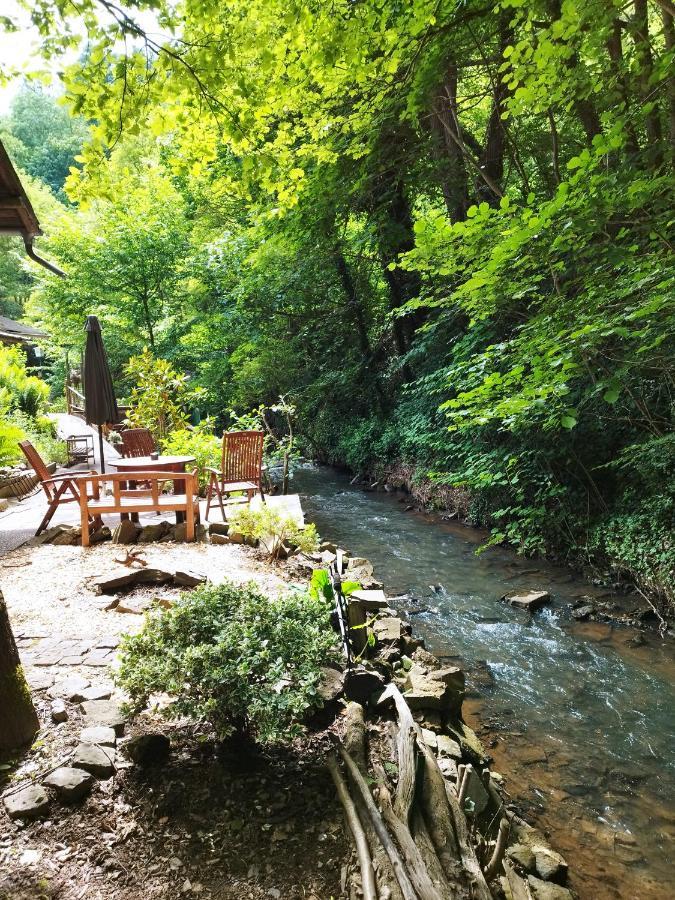 Bed and Breakfast Schmoekermuehle Андернах Экстерьер фото